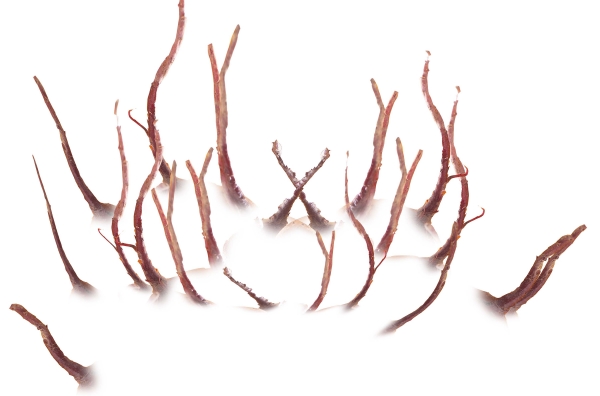 Creation of Rusty Lagoon: Step 5